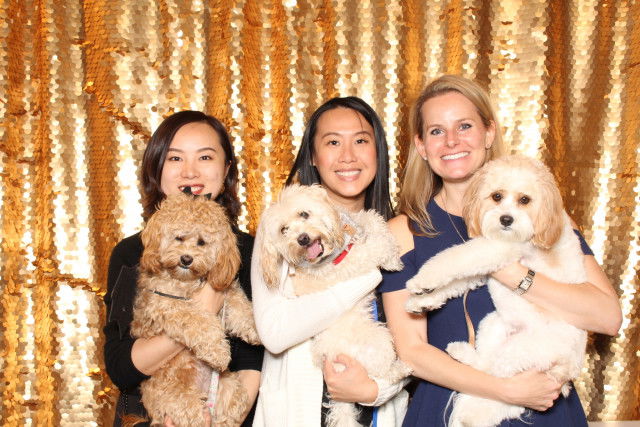 PUPPY MAMA AT HEALTHY SPOT