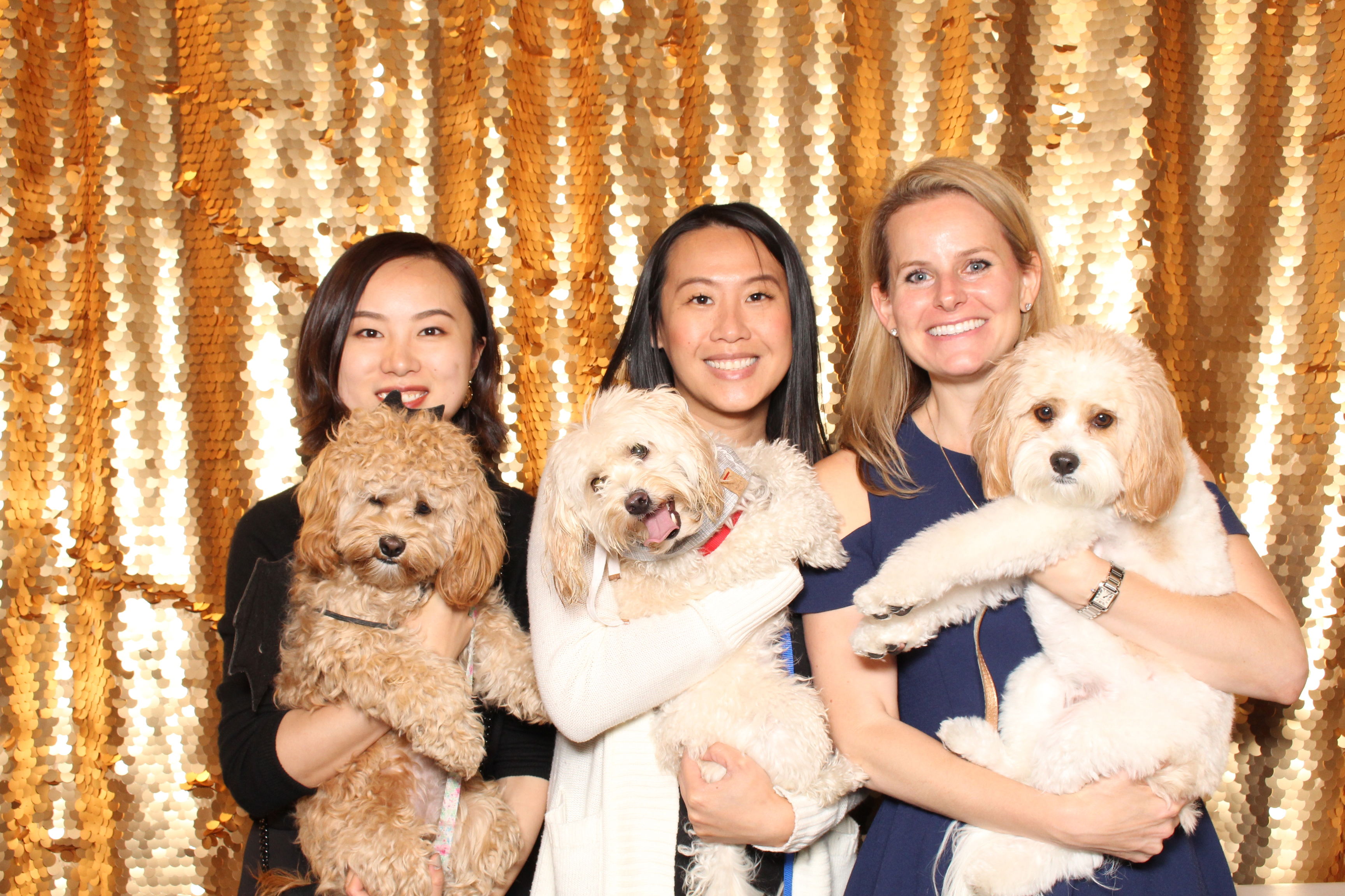 PUPPY MAMA AT HEALTHY SPOT