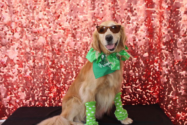 HEALTHY SPOT: PASADENA GRAND OPENING