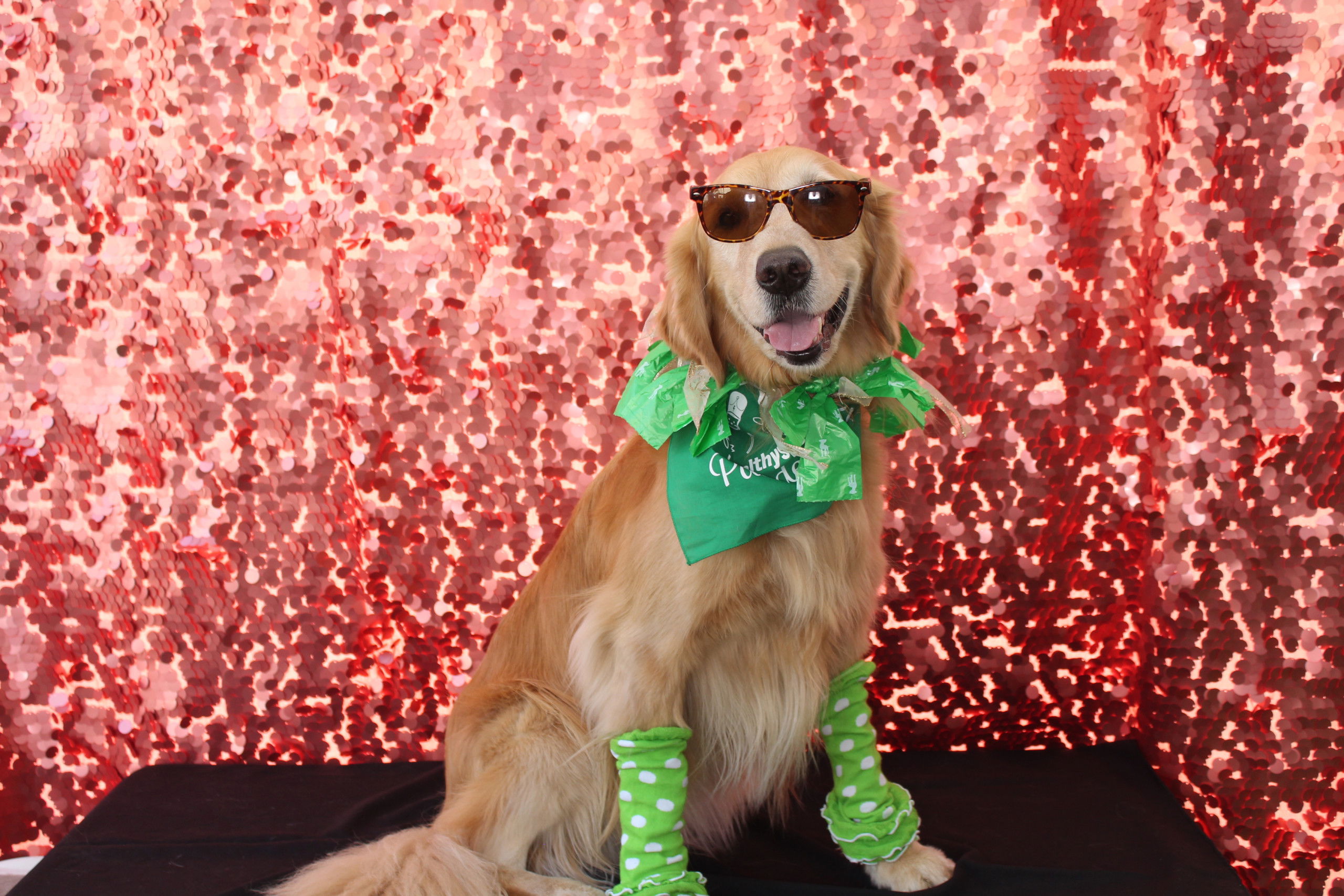 HEALTHY SPOT: PASADENA GRAND OPENING