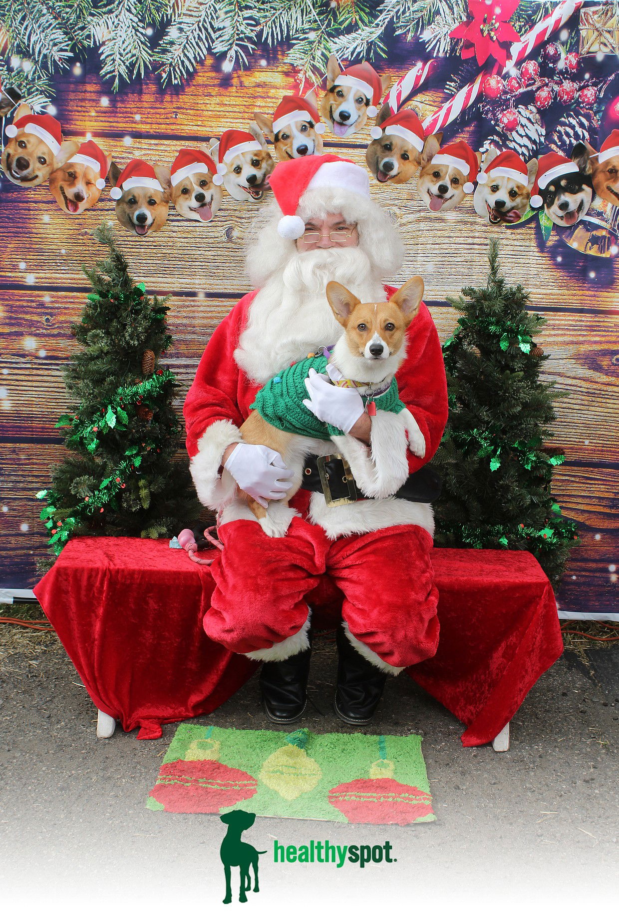 HEALTHY SPOT: CORGI HOWLIDAYS