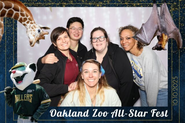 OAKLAND ZOO ALL STAR FEST
